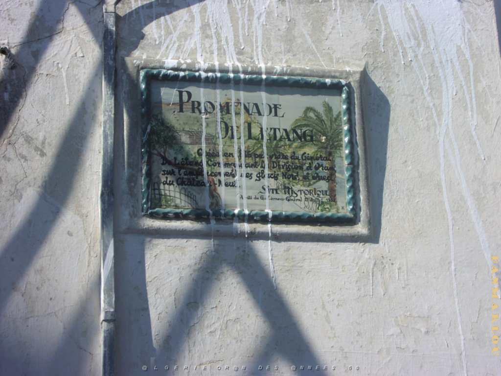ORAN promenade de l etang on a oublie d essuyer les coulures de peinture.JPG
